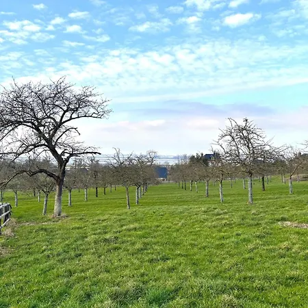 La Hulotte - Domaine D'apreval - Campagne *