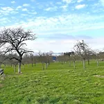 La Hulotte - Domaine D'apreval - Campagne *